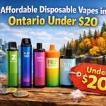 Affordable Disposable Vapes