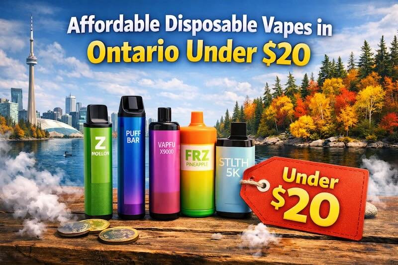Affordable Disposable Vapes