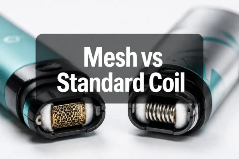 Mesh Coil vs Standard Coil in Disposable Vapes: What the Difference Actually Is